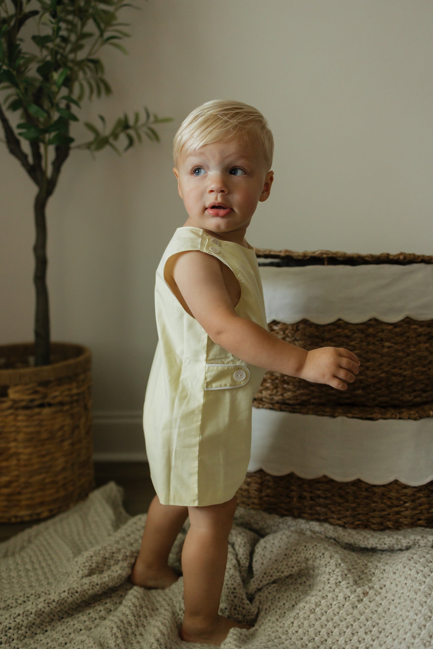 Maize Yellow Shortall