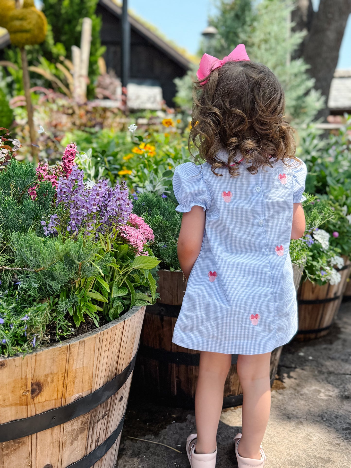 Embroidered Mouse Ear Collared Dress