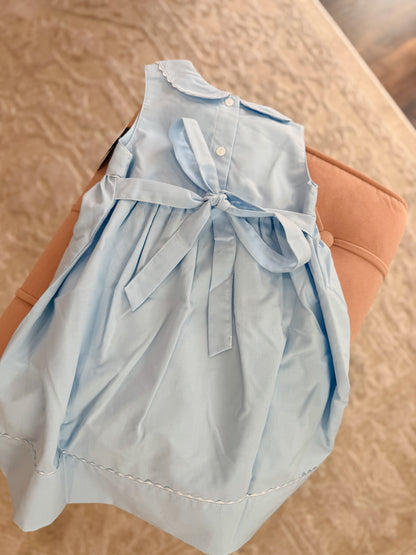 Blue Floral Embroidered Dress with Picot Trim