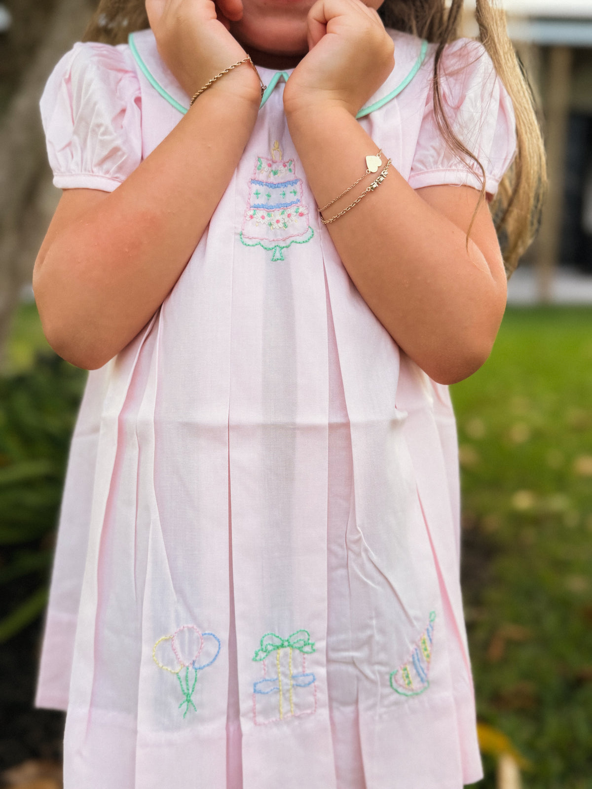 Birthday Party Embroidered Dress