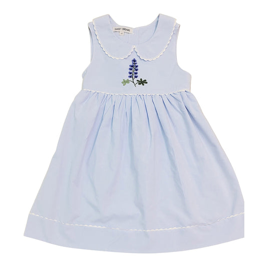 Blue Floral Embroidered Dress with Picot Trim